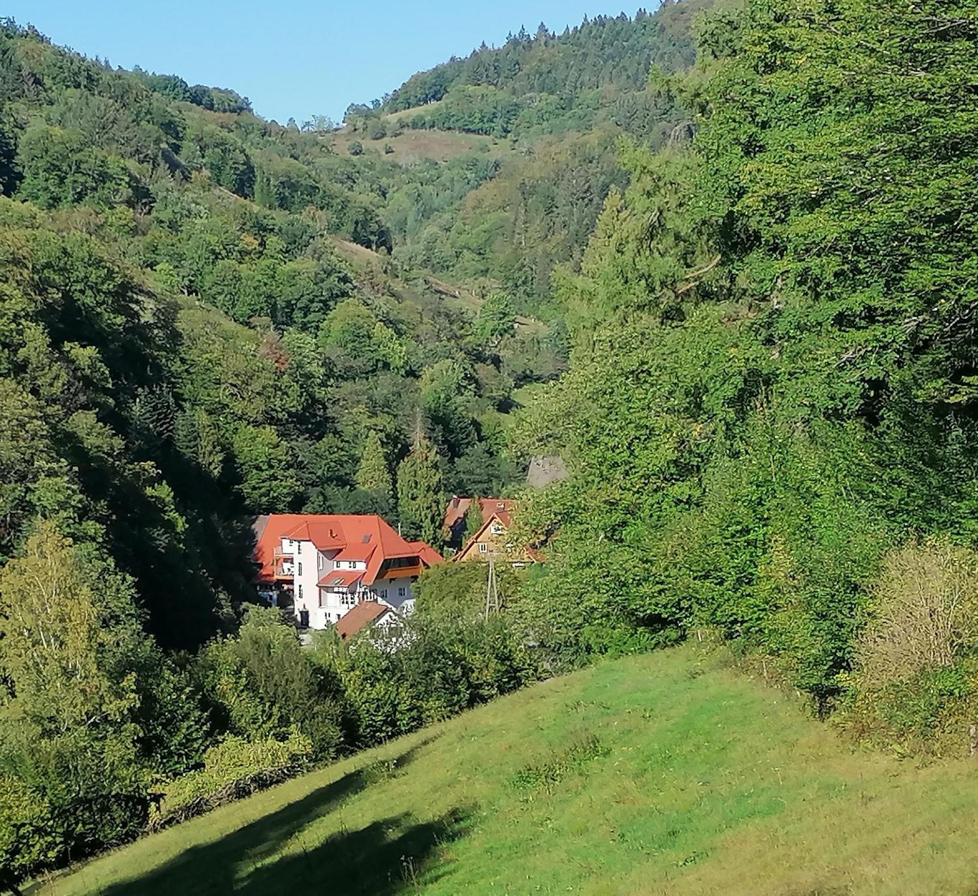 Huberhof Pfaffenbach Villa Gengenbach Exterior photo